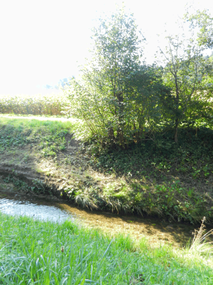 Beautiful place to work