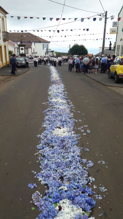 On the way back we just caught the end of a religious parade along a band of petals in the street