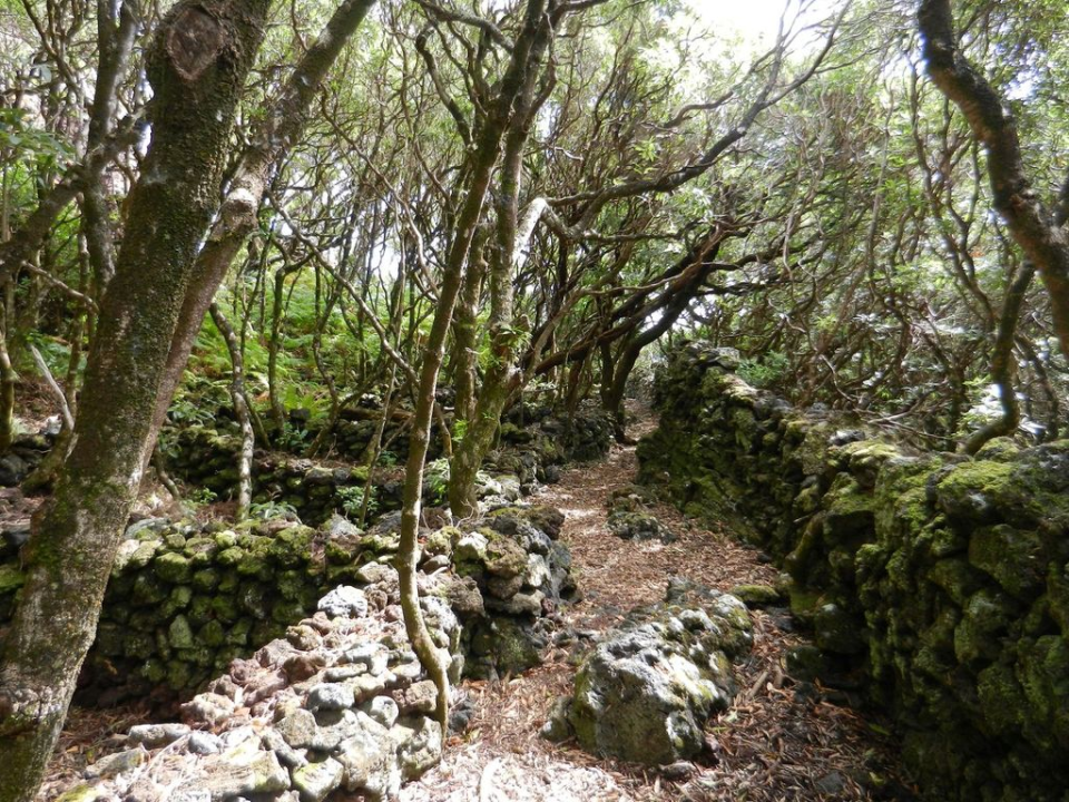 The path got beautifully advernturous pretty soon ...