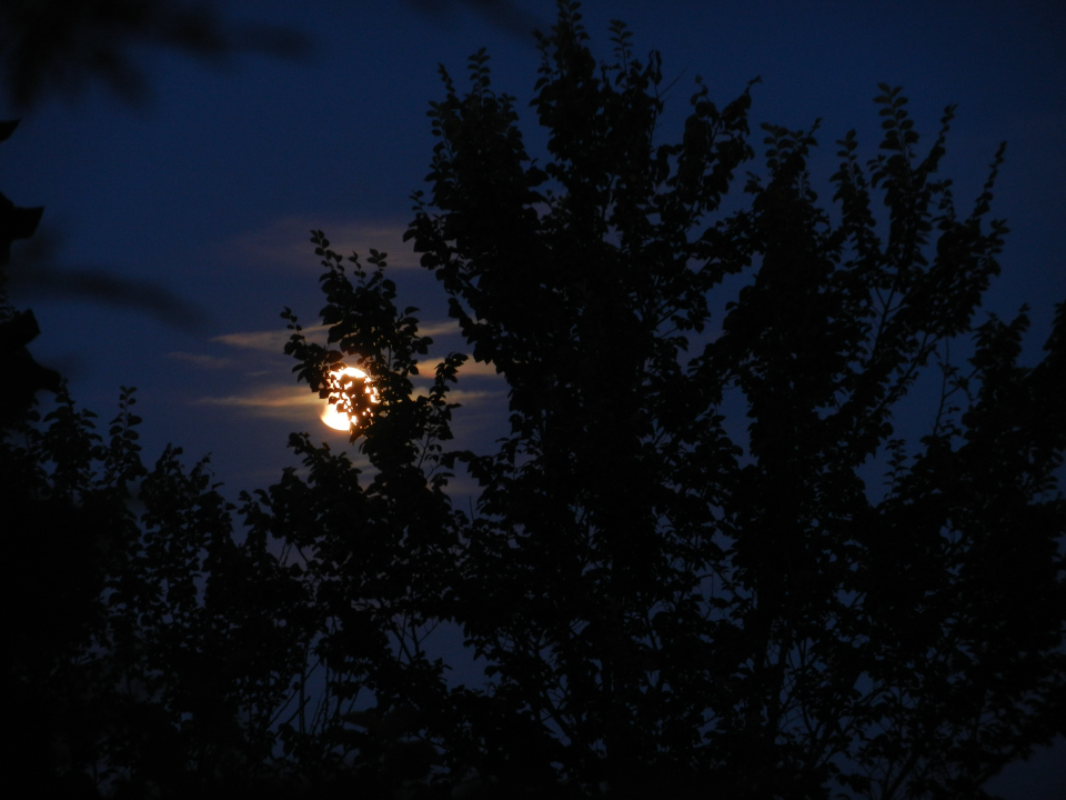 The photos were taken around our gîte.