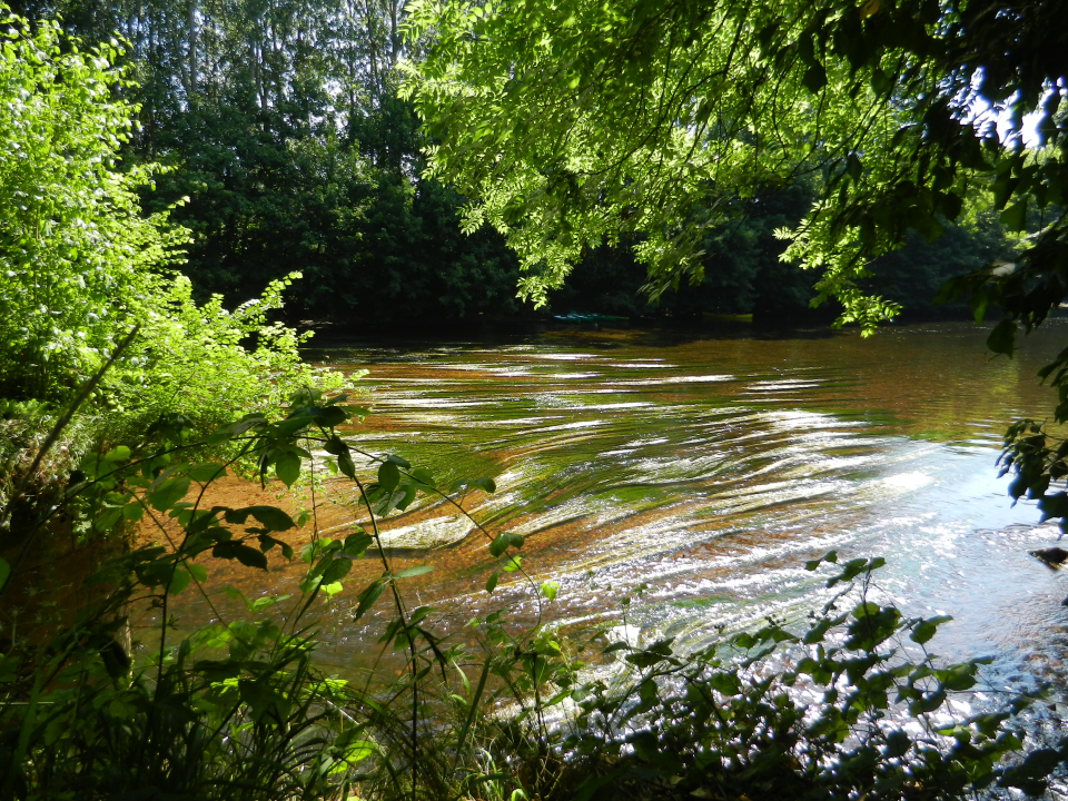 Due to the warm and dry weather the Vézère had low water. Nature probably didn't like it much, but sometimes it looked quite nice.